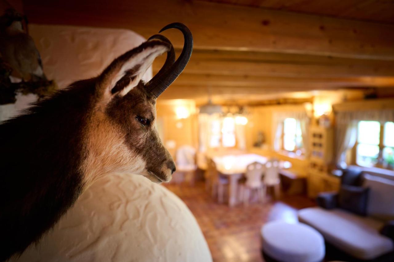 Holiday Chalet "Alpine Dreams" With Private Wellness Solčava Екстериор снимка
