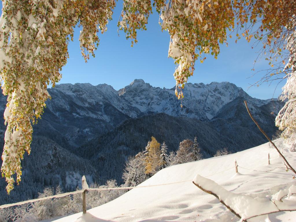 Holiday Chalet "Alpine Dreams" With Private Wellness Solčava Екстериор снимка