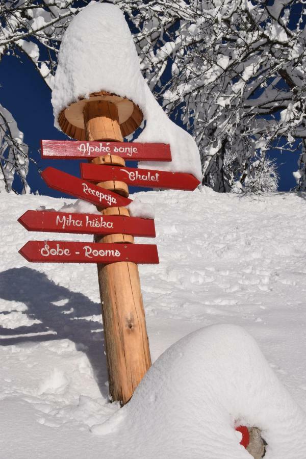 Holiday Chalet "Alpine Dreams" With Private Wellness Solčava Екстериор снимка