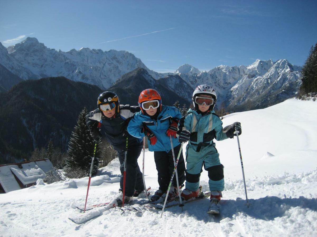 Holiday Chalet "Alpine Dreams" With Private Wellness Solčava Екстериор снимка